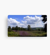Where's Winnie? Canvas Print