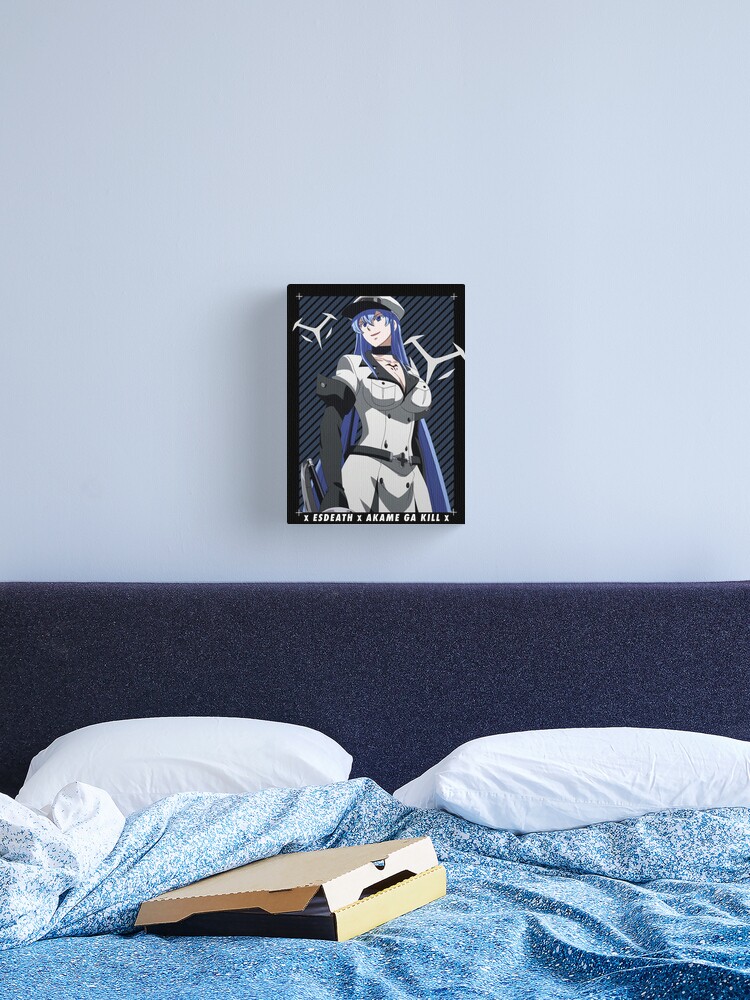 Esdeath Akame Ga Kill