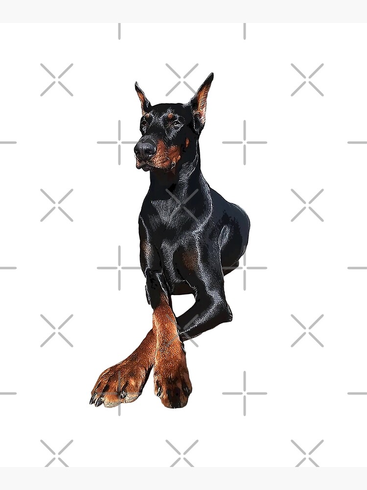 un perro que parece doberman