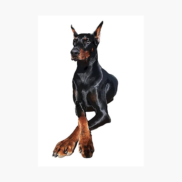 Doberman on sale pinscher gifts