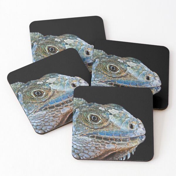 Item preview, I'm Ready For My Close-Up!! designed and sold by heatherfriedman.