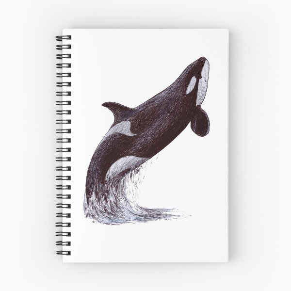 Item preview, Kalina the Killer Whale Scribble designed and sold by ArtyOrca.