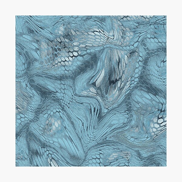 frost dragon Photographic Print