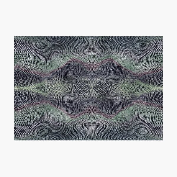 snakeskin Photographic Print