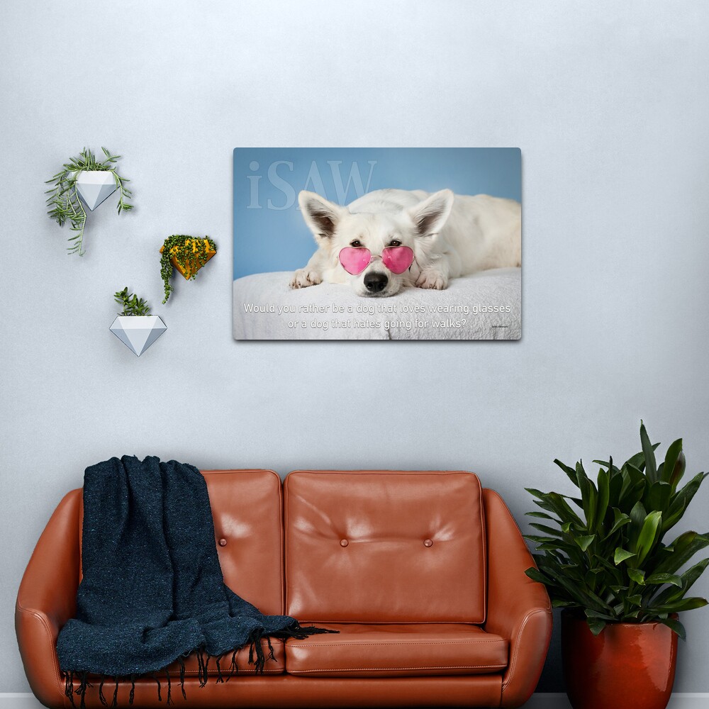 Loves Glasses or Hates Walks Metal Print