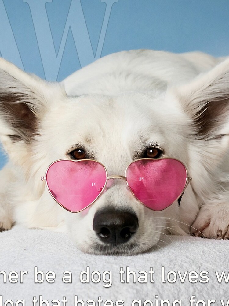 Loves Glasses or Hates Walks by iSAWcompany