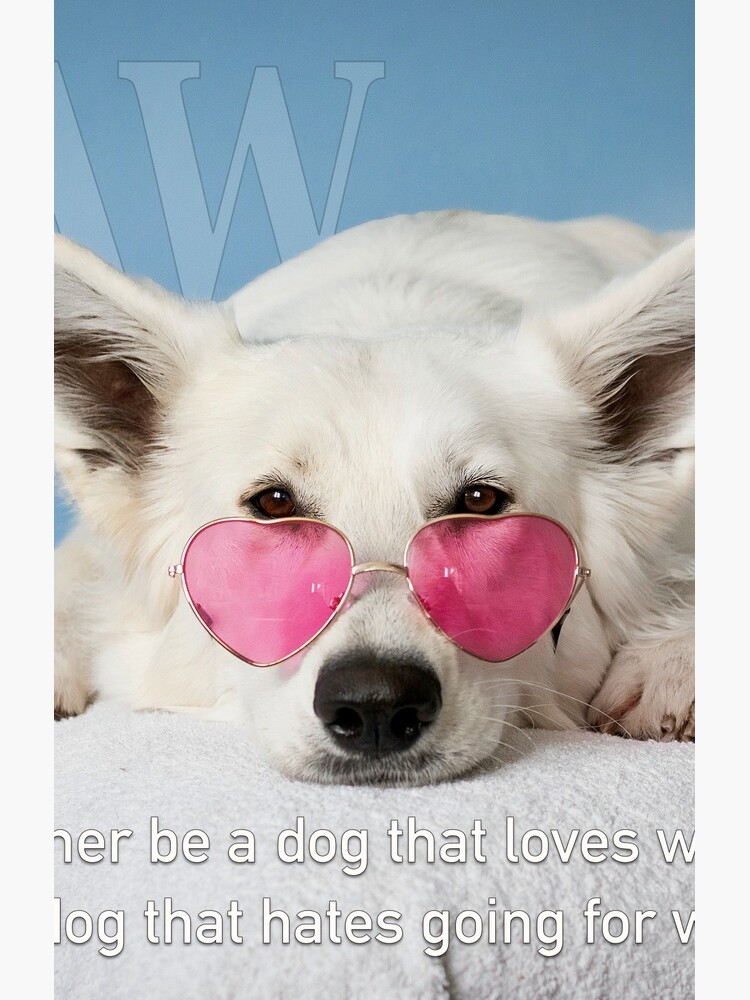 Loves Glasses or Hates Walks by iSAWcompany