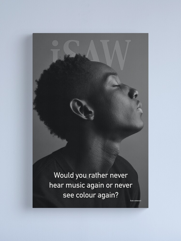 Alternate view of Would You Rather Never Hear Music Again or Never See Colour Again Canvas Print