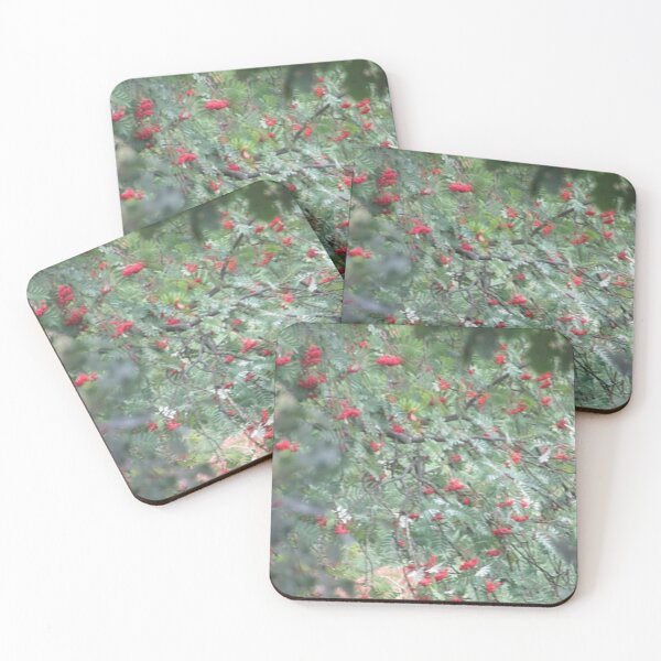 Item preview, Berry Branch Photograph from Cannock Chase designed and sold by Paulele.