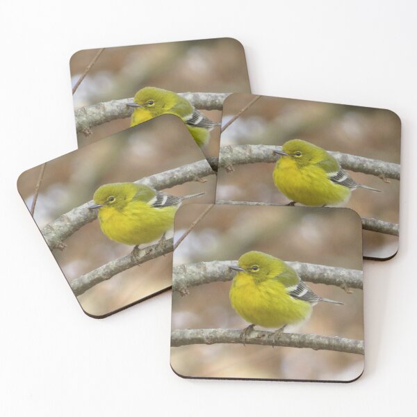 Item preview, Pine Warbler Perched 2020 designed and sold by Tonia Delozier's Photography .