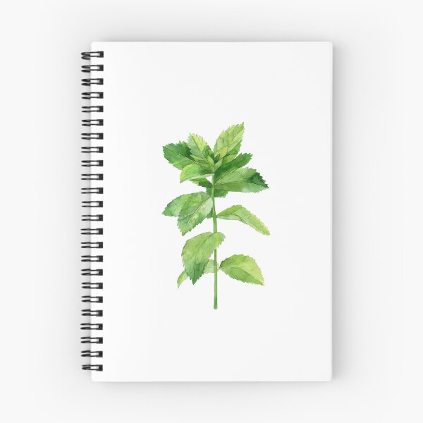 Item preview, Mint Plant. designed and sold by artbyasolo.