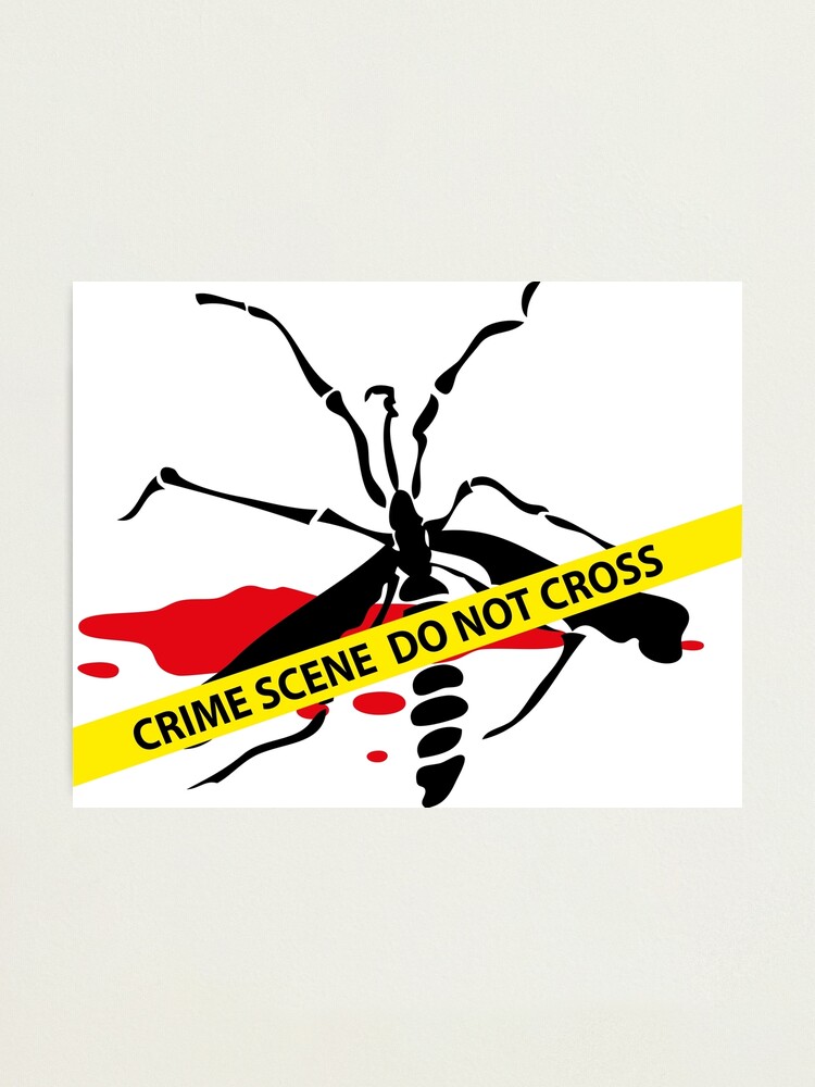 Alternate view of Crime scene mosquito Photographic Print