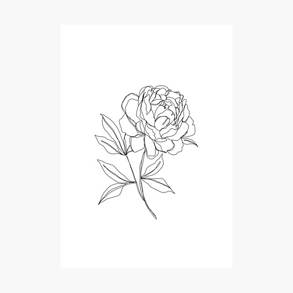Item preview, Peony flower illustration  designed and sold by TheColourStudy.