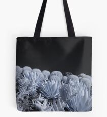 Cactii Tote Bag