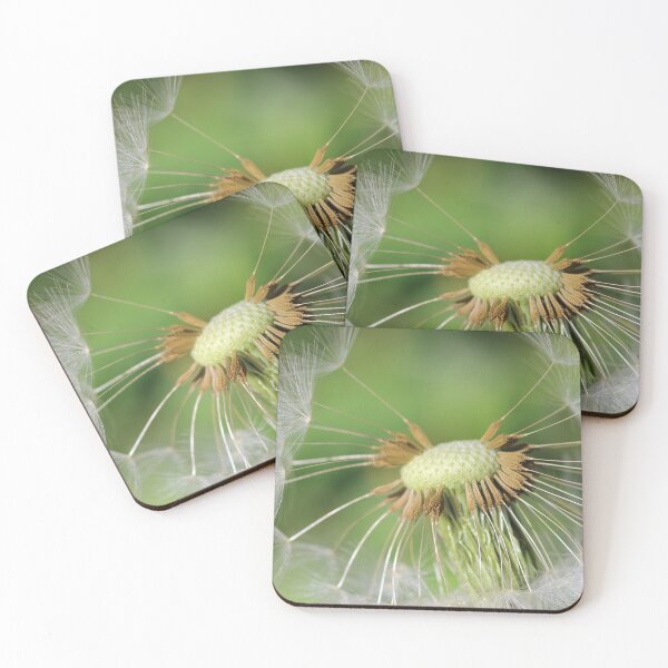 Item preview, Close-up of Dandelion background designed and sold by Grégory DUBUS.