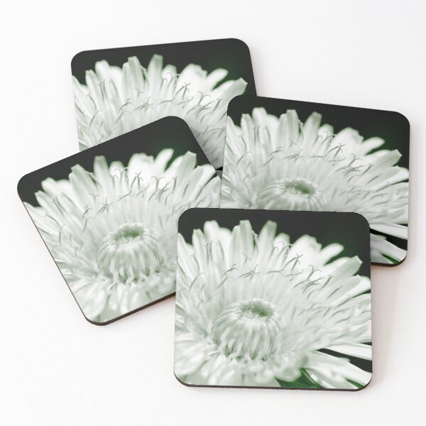 Item preview, Flower beauty in nature designed and sold by Grégory DUBUS.