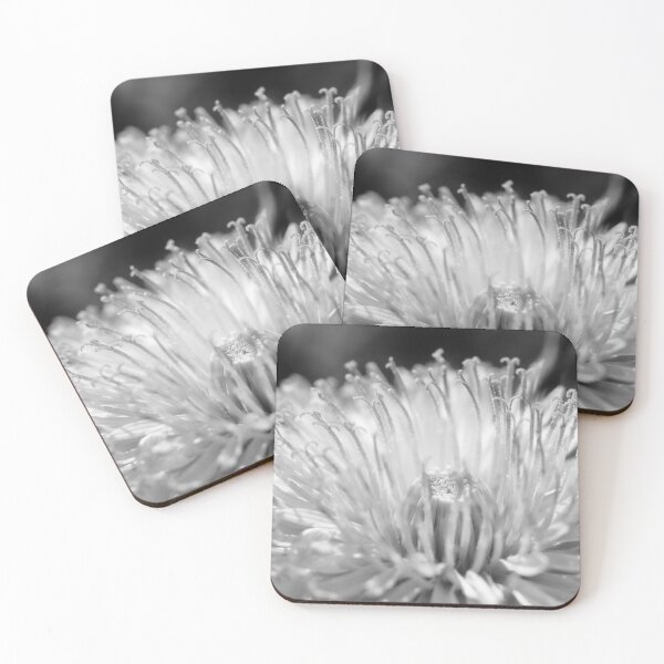 Item preview, Flower beauty in nature designed and sold by Grégory DUBUS.