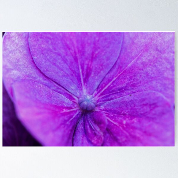 Item preview, purple morning flower designed and sold by Claes  Touber.