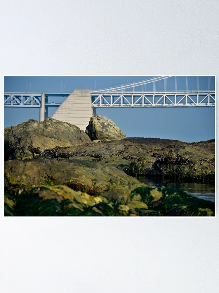 Imagen 1 de 3, Póster con la obra Bridge Behind Rocks, diseñada y vendida por brian hammonds.