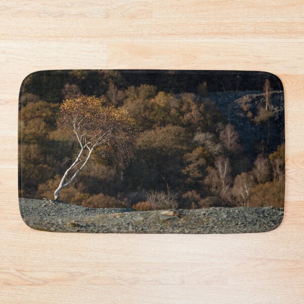 Item preview, Solitary Birch in a slate quarry designed and sold by ccullen222.