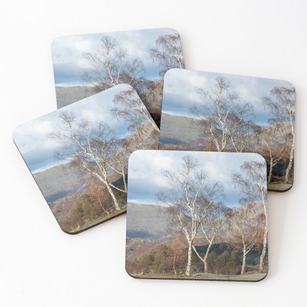 Item preview, Hodge Close birches designed and sold by ccullen222.