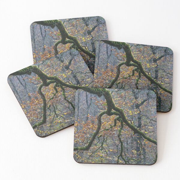 Item preview, Grasmere autumn light #1 designed and sold by ccullen222.