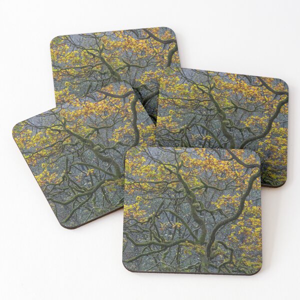 Item preview, Grasmere autumn light #2 designed and sold by ccullen222.