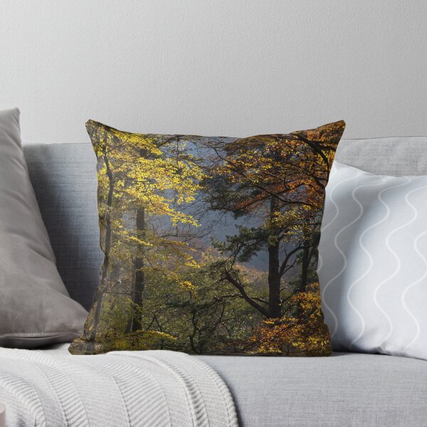 Item preview, Grasmere autumn light #4 designed and sold by ccullen222.