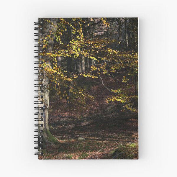 Item preview, Grasmere autumn light #5 designed and sold by ccullen222.