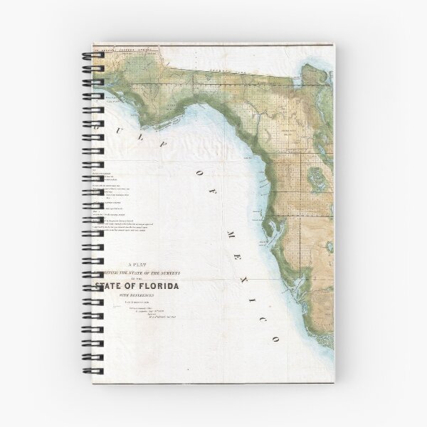 Item preview, 1848 Land Survey Map of Florida designed and sold by Paul David Wilson.