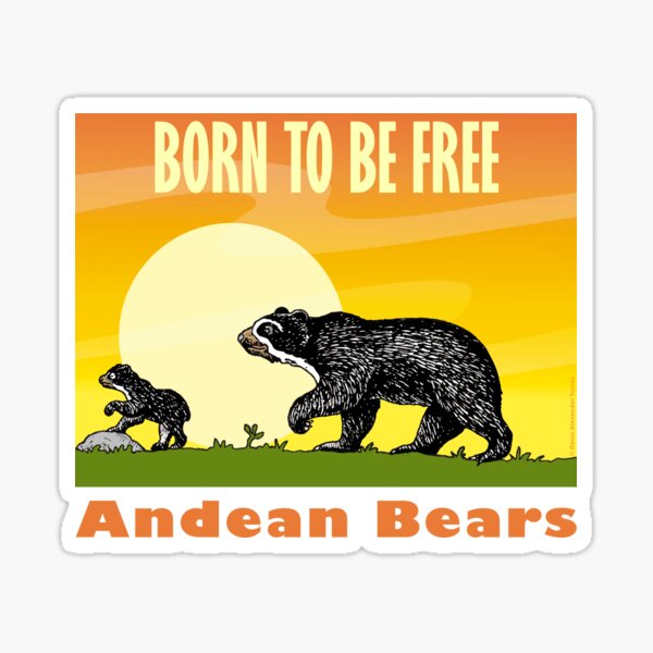 Born To Be Free - Andean Bears Pegatina