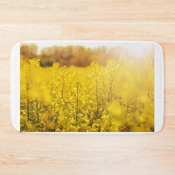 Item preview, Colza field with sunset designed and sold by Grégory DUBUS.