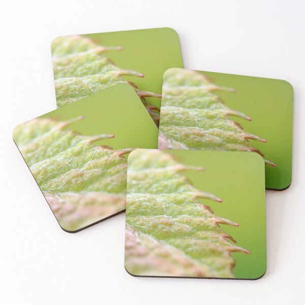 Item preview, Macro of vine leaf edge designed and sold by Grégory DUBUS.