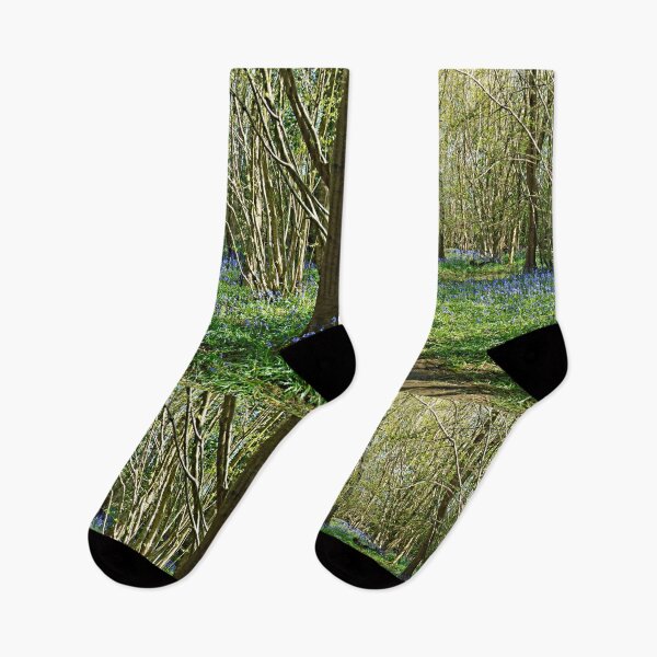 Item preview, Bluebell Walk designed and sold by ColinBoylett.