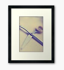 Day 46 - 25th August 2011 Framed Print