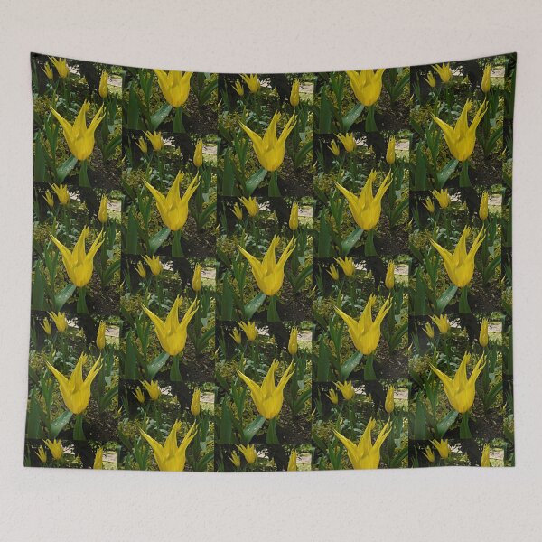 Item preview, Yellow tulip designed and sold by ColinBoylett.