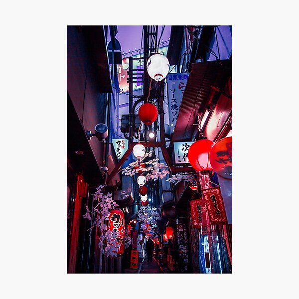 Flowers and Lanterns Photographic Print