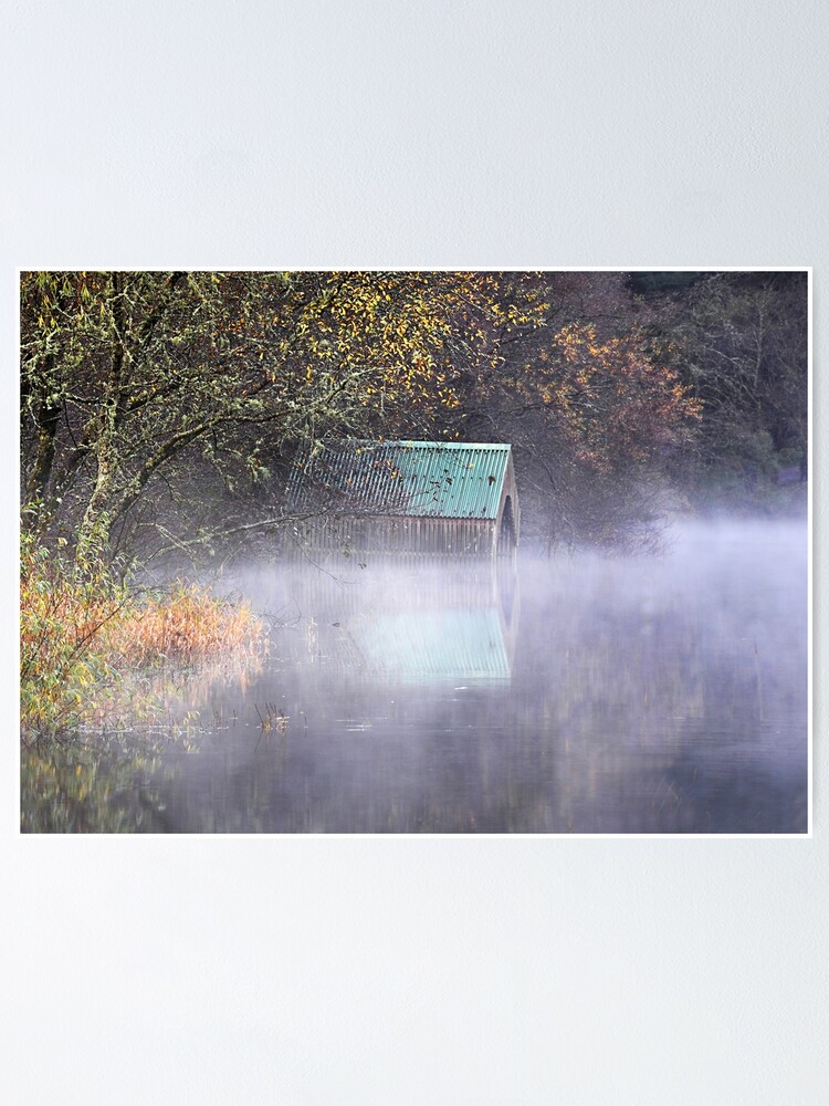 LOCH LOMOND TREE, Scotland Lonely Tree Photography Card, Millarochy Bay Photograph, Blank - View #12