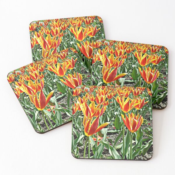 Item preview, Orange tulip designed and sold by ColinBoylett.