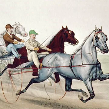 Artwork thumbnail, Harness Racing by teepossible