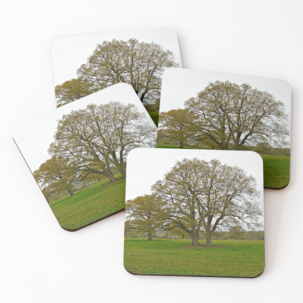 Item preview, Coasters (Set of 4) designed and sold by ColinBoylett.