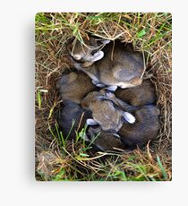 Thumper & Friends ! Canvas Print