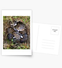 Thumper & Friends ! Postcards