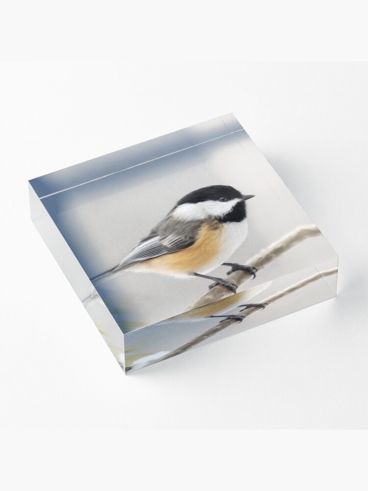 Alternate view of Chickadee Bird Painting Acrylic Block
