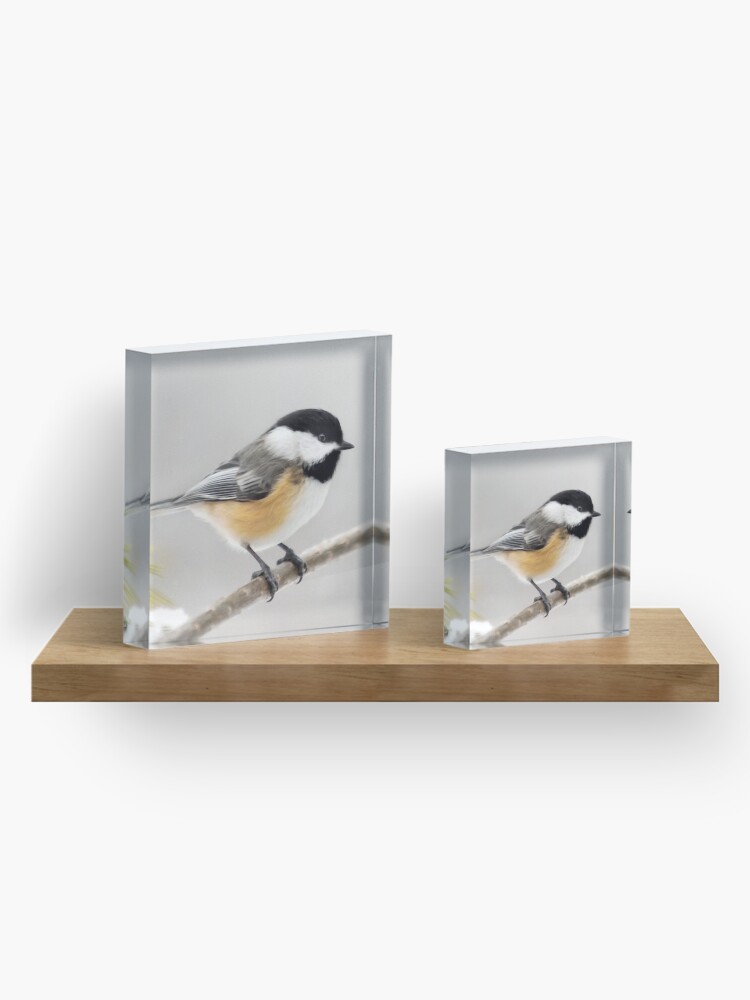 Alternate view of Chickadee Bird Painting Acrylic Block