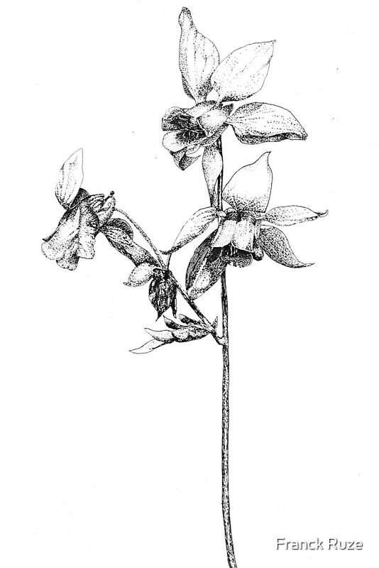 "French alps 8" by Franck Ruze Redbubble