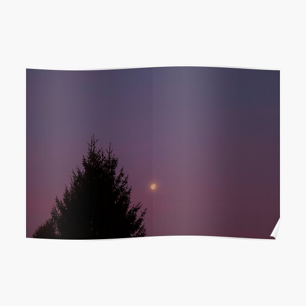 Twilight Morning 2 Poster