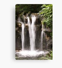 Serenity Canvas Print