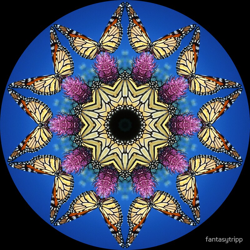 "Butterfly Kaleidoscope" by fantasytripp Redbubble