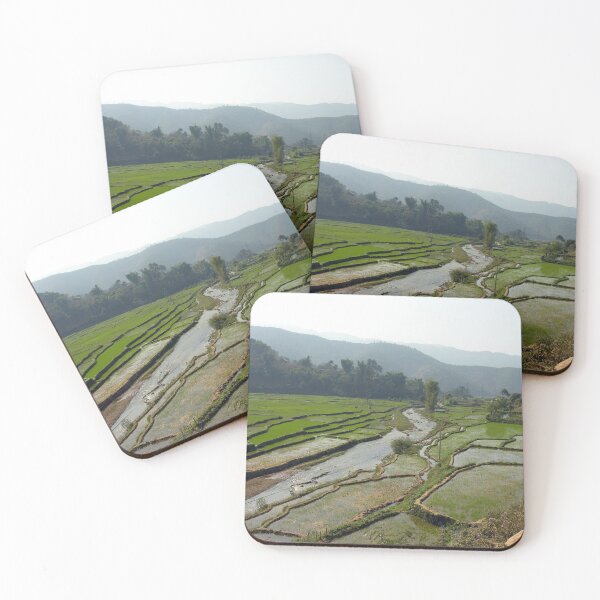 Item preview, Rice Fields Rural Landscape, Vietnam designed and sold by worldways.